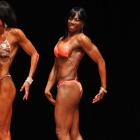 Yvette  Johnson - NPC Mid-Illinois Championships 2013 - #1