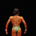 Dawn  Meininger-Wahlgren - NPC Mid-Illinois Championships 2013 - #1