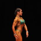 Dawn  Meininger-Wahlgren - NPC Mid-Illinois Championships 2013 - #1