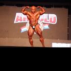 Robert  Piotrkowicz - IFBB Arnold Brasil  2013 - #1