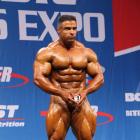 Baitollah  Abbaspour - IFBB Nordic Pro 2013 - #1