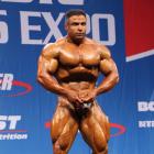 Baitollah  Abbaspour - IFBB Nordic Pro 2013 - #1