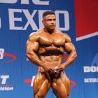 Baitollah  Abbaspour - IFBB Nordic Pro 2013 - #1