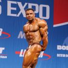 Baitollah  Abbaspour - IFBB Nordic Pro 2013 - #1