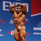 Baitollah  Abbaspour - IFBB Nordic Pro 2013 - #1