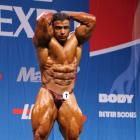 Baitollah  Abbaspour - IFBB Nordic Pro 2013 - #1