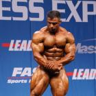 Baitollah  Abbaspour - IFBB Nordic Pro 2013 - #1