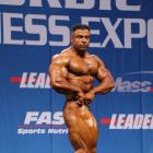 Baitollah  Abbaspour - IFBB Nordic Pro 2013 - #1