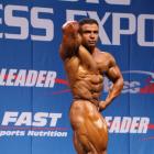 Baitollah  Abbaspour - IFBB Nordic Pro 2013 - #1