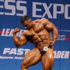 Baitollah  Abbaspour - IFBB Nordic Pro 2013 - #1