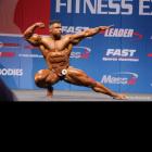 Baitollah  Abbaspour - IFBB Nordic Pro 2013 - #1