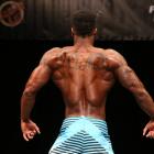 Michael  Pulley - NPC Jr. USA 2014 - #1