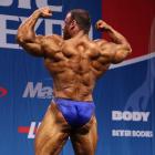 Alexandre  Nataf - IFBB Nordic Pro 2013 - #1