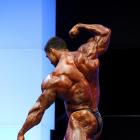 Sergey  Shelestov - IFBB FIBO Power Pro Germany 2012 - #1