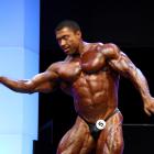 Sergey  Shelestov - IFBB FIBO Power Pro Germany 2012 - #1