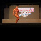 Ronny   Rockel - IFBB Arnold Brasil  2013 - #1
