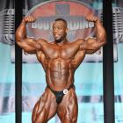 Essa  Obaid - IFBB Wings of Strength Tampa  Pro 2013 - #1