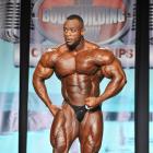 Essa  Obaid - IFBB Wings of Strength Tampa  Pro 2013 - #1