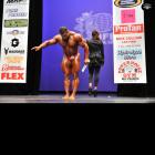Baitollah  Abbaspour - IFBB New York Pro 2014 - #1