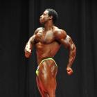 Breon  Ansley - NPC USA 2013 - #1