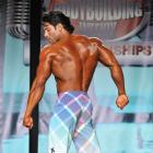 Steve  Mousharbash - IFBB Wings of Strength Tampa  Pro 2013 - #1