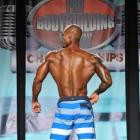 Tory  Woodward - IFBB Wings of Strength Tampa  Pro 2013 - #1