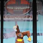 Ashley  Sebera - IFBB Wings of Strength Tampa  Pro 2013 - #1