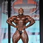 Lee   Banks - IFBB Wings of Strength Tampa  Pro 2013 - #1