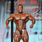 Essa  Obaid - IFBB Wings of Strength Tampa  Pro 2013 - #1