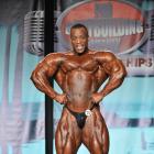 Essa  Obaid - IFBB Wings of Strength Tampa  Pro 2013 - #1