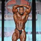 Essa  Obaid - IFBB Wings of Strength Tampa  Pro 2013 - #1