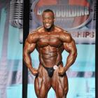 Essa  Obaid - IFBB Wings of Strength Tampa  Pro 2013 - #1