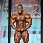 Essa  Obaid - IFBB Wings of Strength Tampa  Pro 2013 - #1