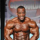 Essa  Obaid - IFBB Wings of Strength Tampa  Pro 2013 - #1