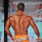 David  Herskovitz - IFBB Wings of Strength Tampa  Pro 2013 - #1