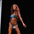 Pamela  Hysinger - NPC Eastern USA 2013 - #1