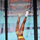 Ashley  Sebera - IFBB Wings of Strength Tampa  Pro 2013 - #1