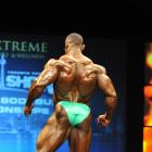 Novoa de Jesus  Nunez Mendez - IFBB Toronto Pro Supershow 2013 - #1