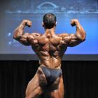 Muhammad Masoom Butt - IFBB Toronto Pro Supershow 2013 - #1