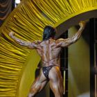 Tazzie  Colomb - IFBB Arnold Classic 2013 - #1