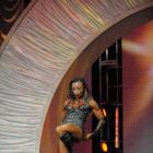 Tanji  Johnson - IFBB Arnold Classic 2013 - #1