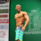 Matthew  Acton - IFBB New York Pro 2013 - #1