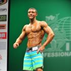 Matthew  Acton - IFBB New York Pro 2013 - #1