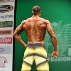 Karl  Bierman - IFBB New York Pro 2013 - #1