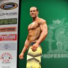 Karl  Bierman - IFBB New York Pro 2013 - #1