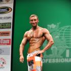 Ian  Lauer - IFBB New York Pro 2013 - #1