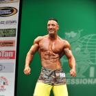 William  Sullivan - IFBB New York Pro 2013 - #1