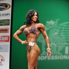 Andrea  Cantone - IFBB New York Pro 2013 - #1