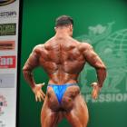 Jamal  Al Maadawy - IFBB New York Pro 2013 - #1