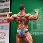 Jamal  Al Maadawy - IFBB New York Pro 2013 - #1